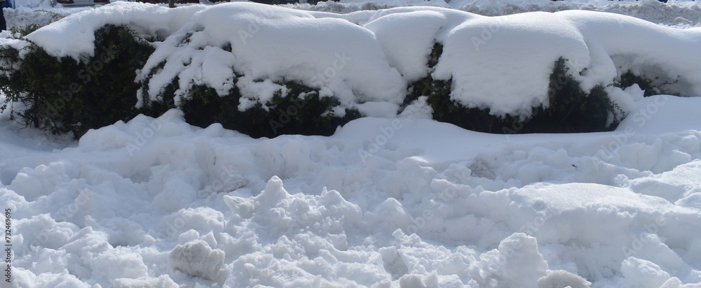 NIEVE FILOMENA 2021 NIEVE FILOMENA 2021