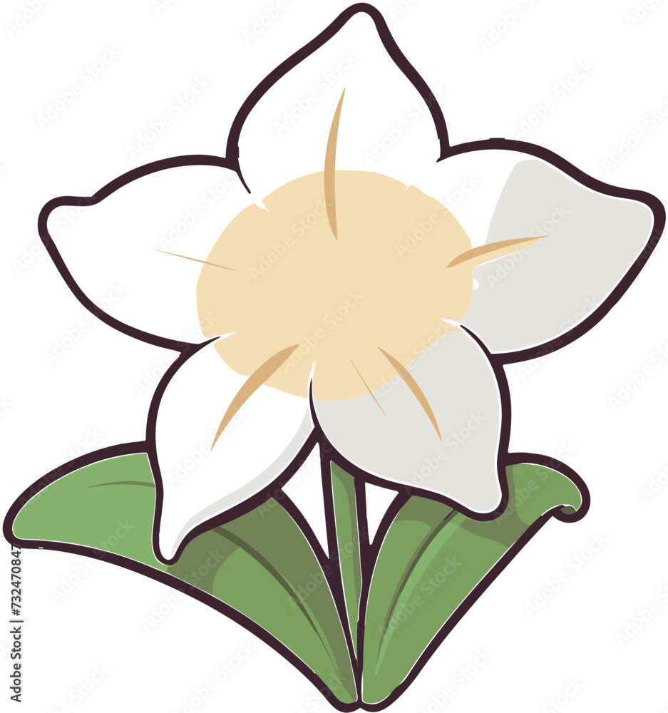 Vector of a white lily flower Vector of a white lily flower
