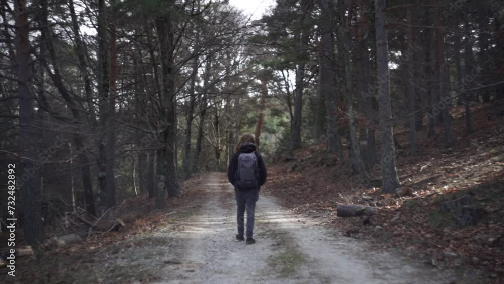 Slow-motion view of a person walking on a dirt road between leafless trees in the woods Slow-motion view of a person walking on a dirt road between leafless trees in the woods