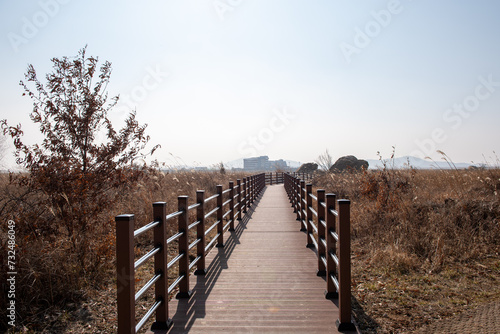Fototapeta Naklejka Na Ścianę i Meble -  A desolate meadow and a path for walking
