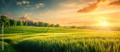 As the sun sets, casting a warm afterglow, it paints the sky above a green field adorned with trees. Nature's beauty surrounds as people enjoy the peacefulness of this natural landscape.