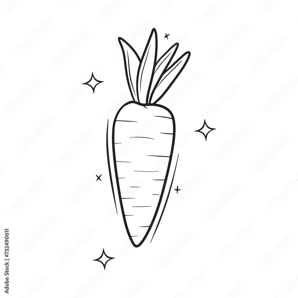 Vector illustration of a carrot with leaves attached to its long stem Vector illustration of a carrot with leaves attached to its long stem