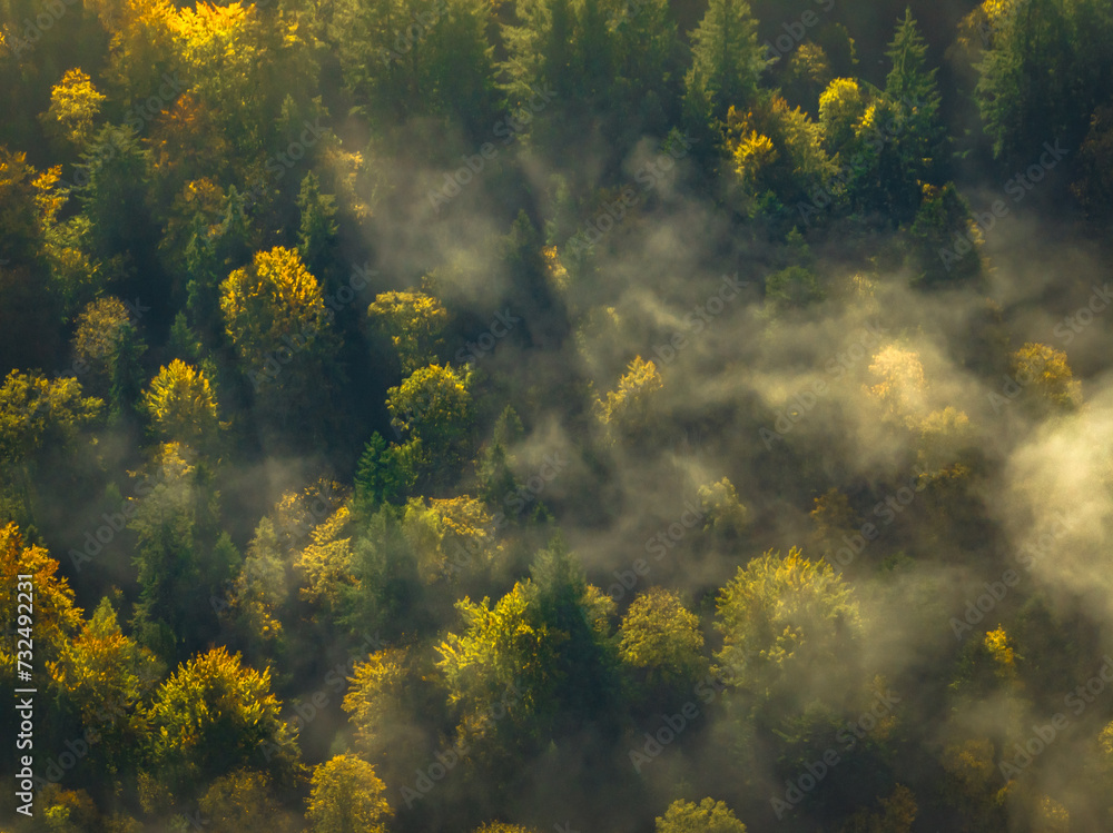 Lot nad centrum Krynicy-Zdroju z porannymi mgłami jesienią. Mglista jesień i krajobrazy. - obrazy, fototapety, plakaty 
