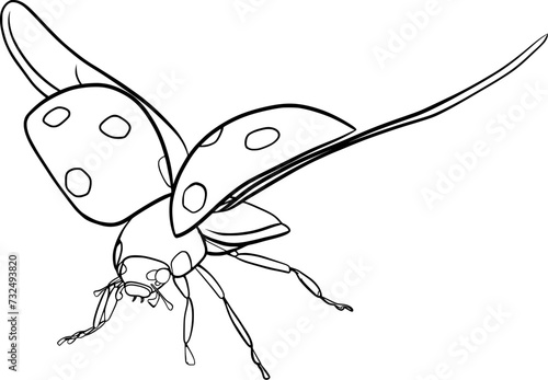 Flying ladybug outline illustration isolated on transparent background	
