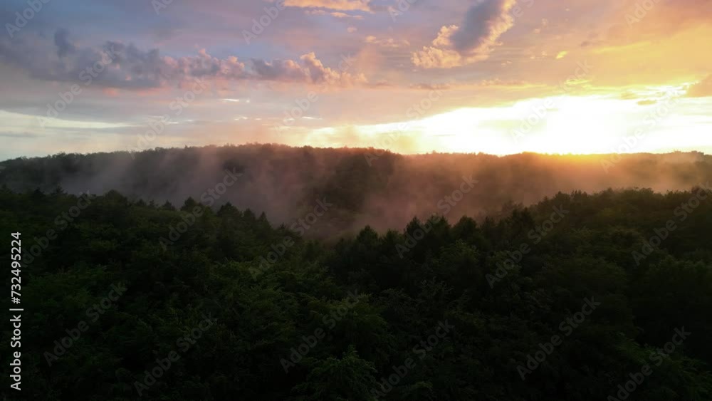 Flying Over Forest After Rain In Sunset Flying Over Forest After Rain In Sunset