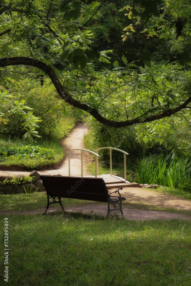 Bench in the morning garden under a tree surrounded by a pond and bushes. Bench in the morning garden under a tree surrounded by a pond and bushes.