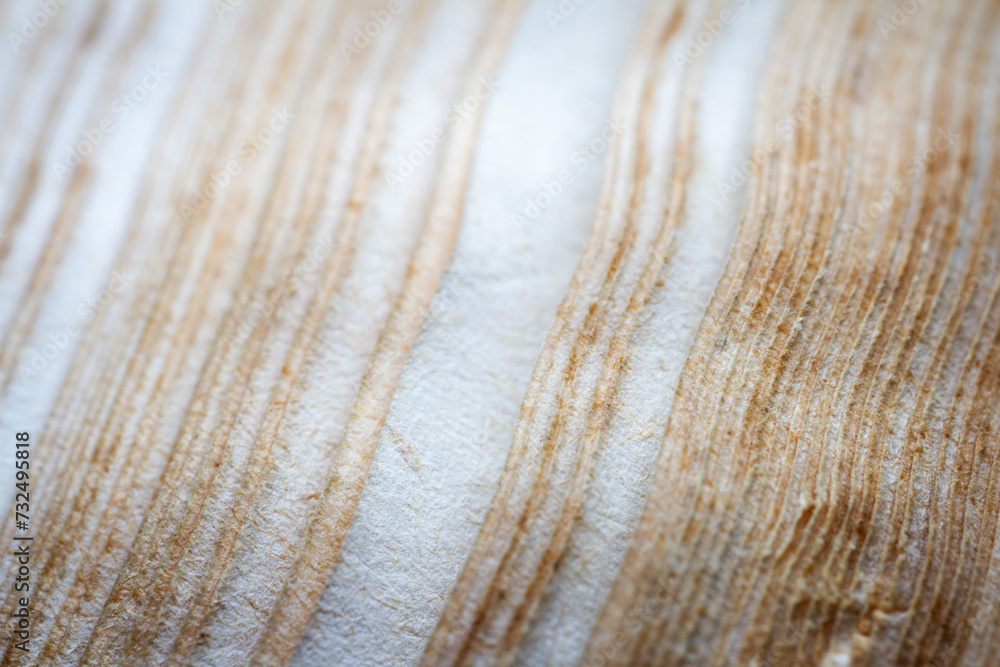 Extreme closeup of an old book from the side Extreme closeup of an old book from the side