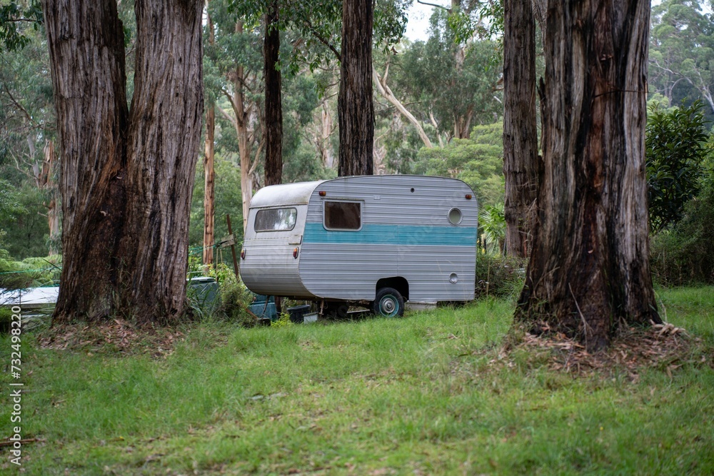 Vintage trailer in a green forest