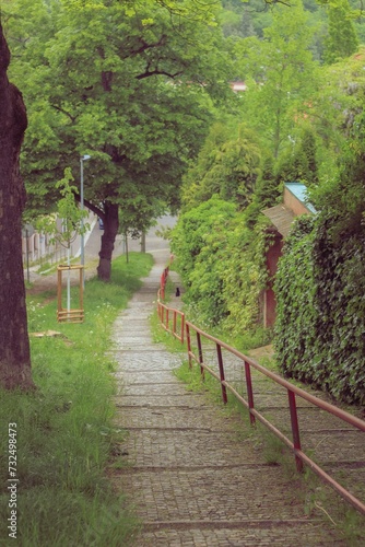 Scenic path with a white-painted wooden fence on either side photo