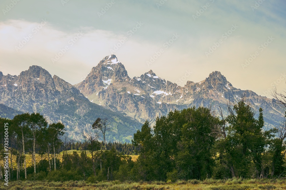 Obraz premium horses graze in a grassy area next to a mountain range