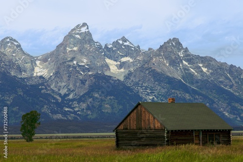 Closeup of a wooden hut in a lush green with a great mountain rage in the background Great Teton