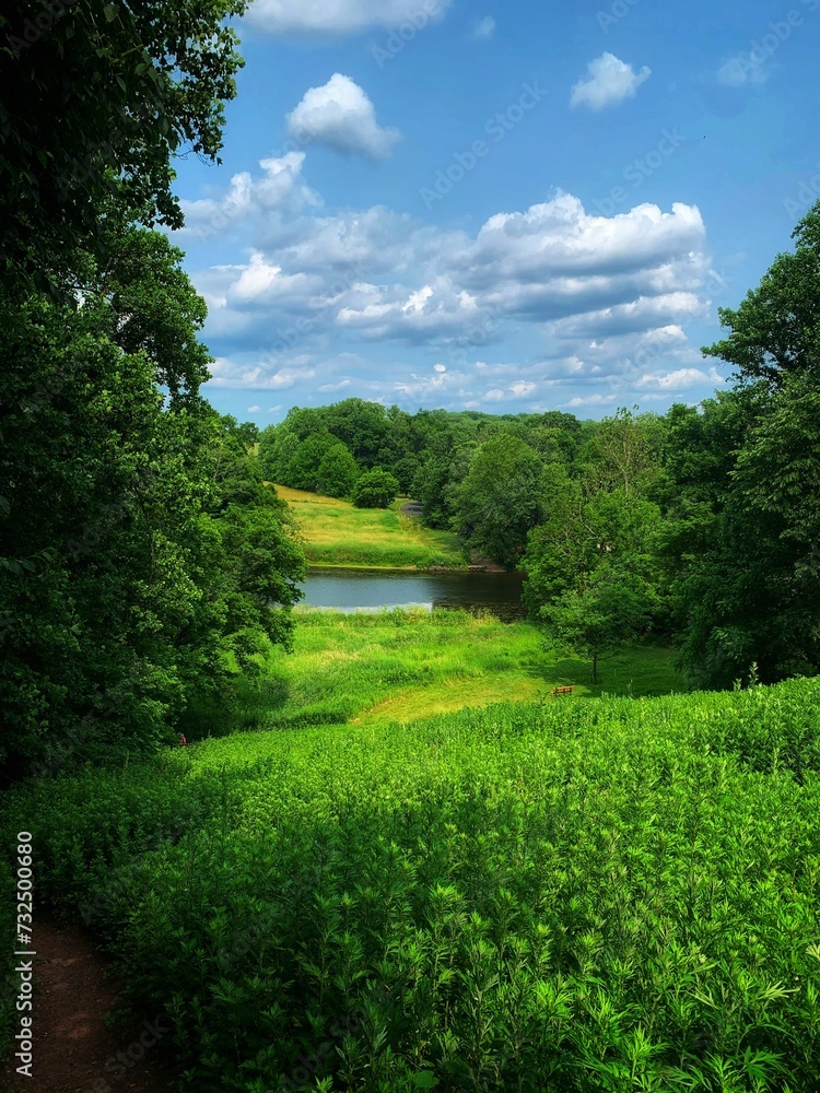 Idyllic scene featuring a lush, green open field adjacent to a tranquil river