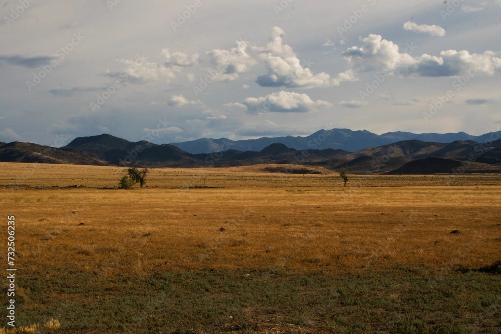 Obraz premium Scenic view of a lush green field located on the outskirts of Monroe, Utah.