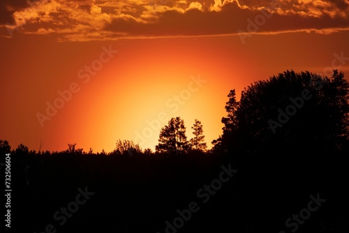 Picturesque landscape featuring a golden sunset behind a rolling hill with silhouetted trees.
