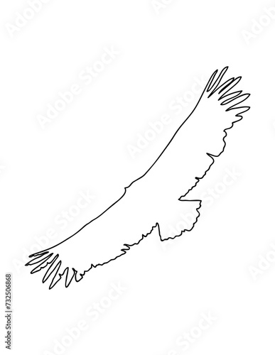 Silhouette d'un vautour fauve en plein vol