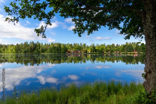 Picturesque lake scene featuring a body of water with numerous trees in the foreground.