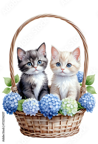 Watercolor painting of a cat sitting in a basket of hydrangeas o © Anoottotle