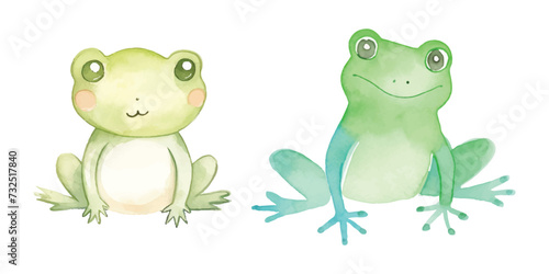 cute frog watercolor illustration