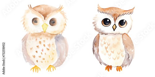 cute owl vector watercolor illustration