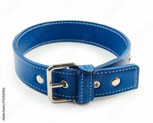 Blue Leather Collar With Metal Buckle