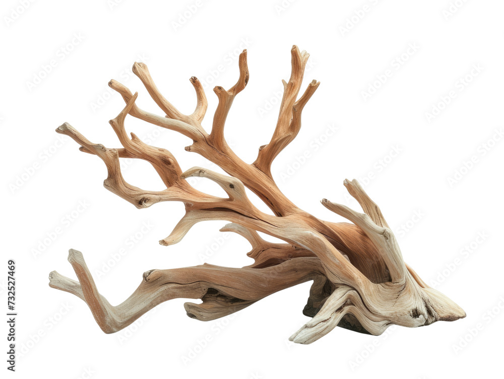 dried branch isolated on transparent background dried branch isolated on transparent background