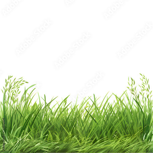 green grass on transparent background