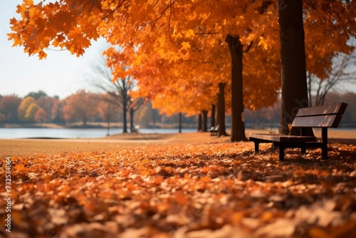 Vibrant orange leaves blanket serene park in picturesque autumn scene