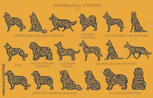 Dog breeds silhouettes with lettering, simple style clipart. Herding dogs, sheepdog, shepherds collection