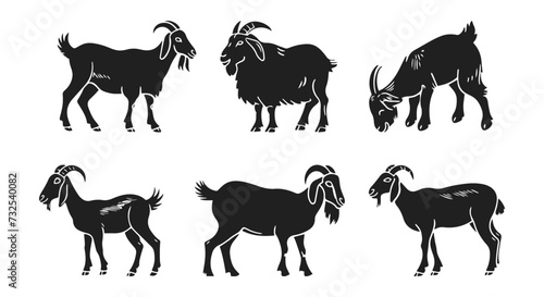 Goat vector illustration set. Goatling in style of hand drawn black doodle on white background. Farm animals, domestic pet silhouette sketch