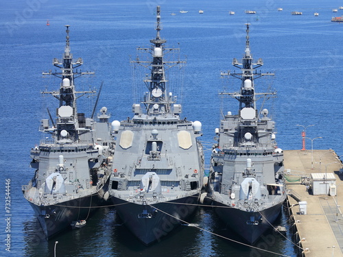 Naval Strength: Destroyers Docked at the Harbor
