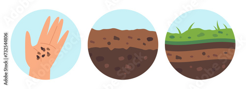 Grass growth stages from seed to flowering set. Seedling, sapling, gardening background. Vector illustration.