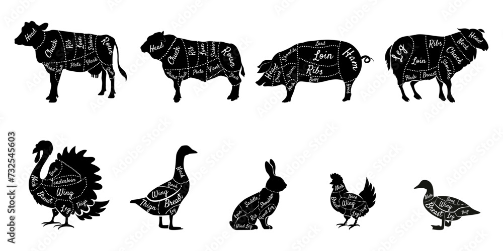 Butcher diagrams cutting lines of different parts silhouettes of domestic farm animals with cuts on different parts of the body vector Butcher diagrams cutting lines of different parts silhouettes of domestic farm animals with cuts on different parts of the body vector