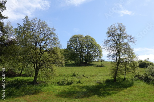 Landschaft bei Hessenthal im Spessart