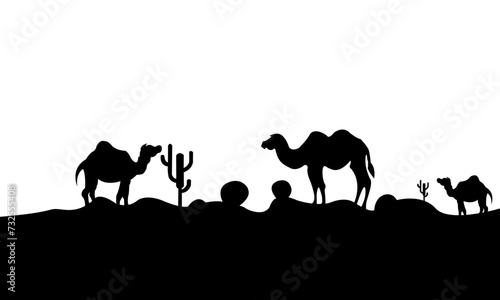 siluet camel in the desert