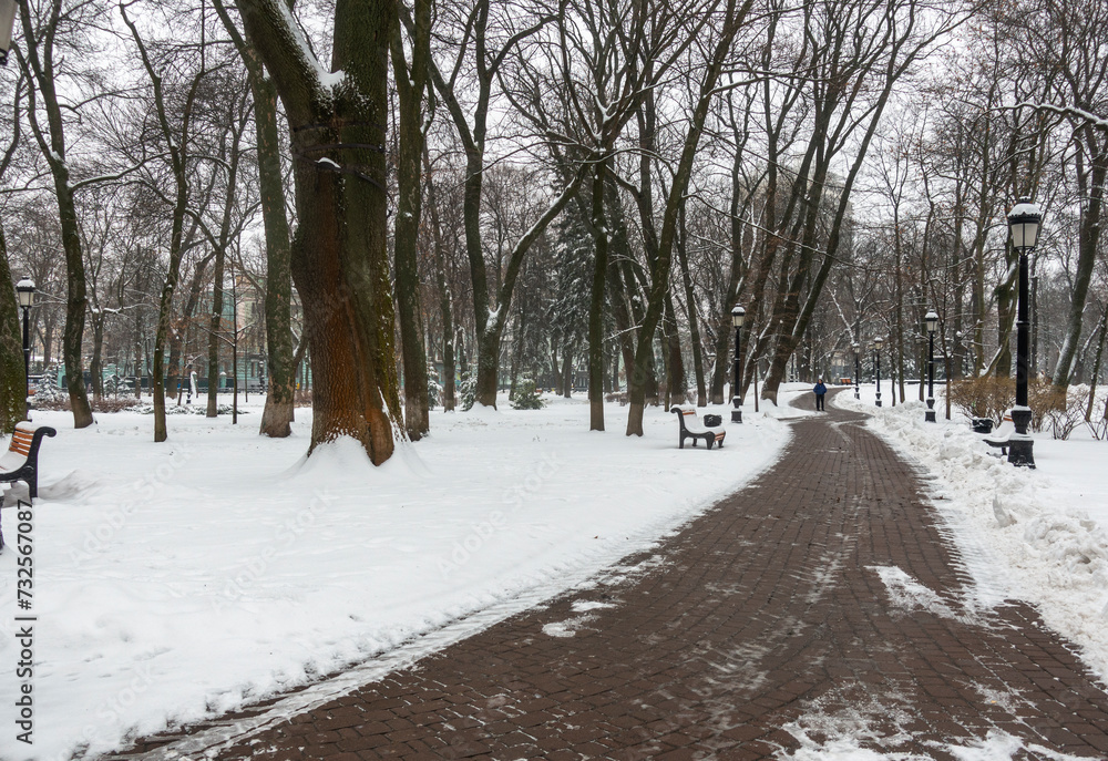 Path in the winter Mariinsky Park in Kyiv. Path in the winter Mariinsky Park in Kyiv.