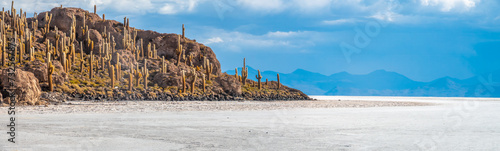 Incahuasi island, a rocky outcrop covered with cacti in the midlle of the Salar de Uyuni, the world's largest salt flat, Bolivian altiplano photo