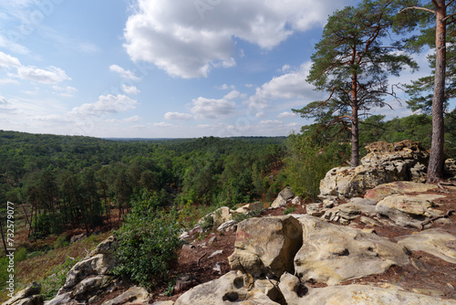 Forest path Denecourt 11 in the Restant du Long Rocher rock. Fontainebleau forest