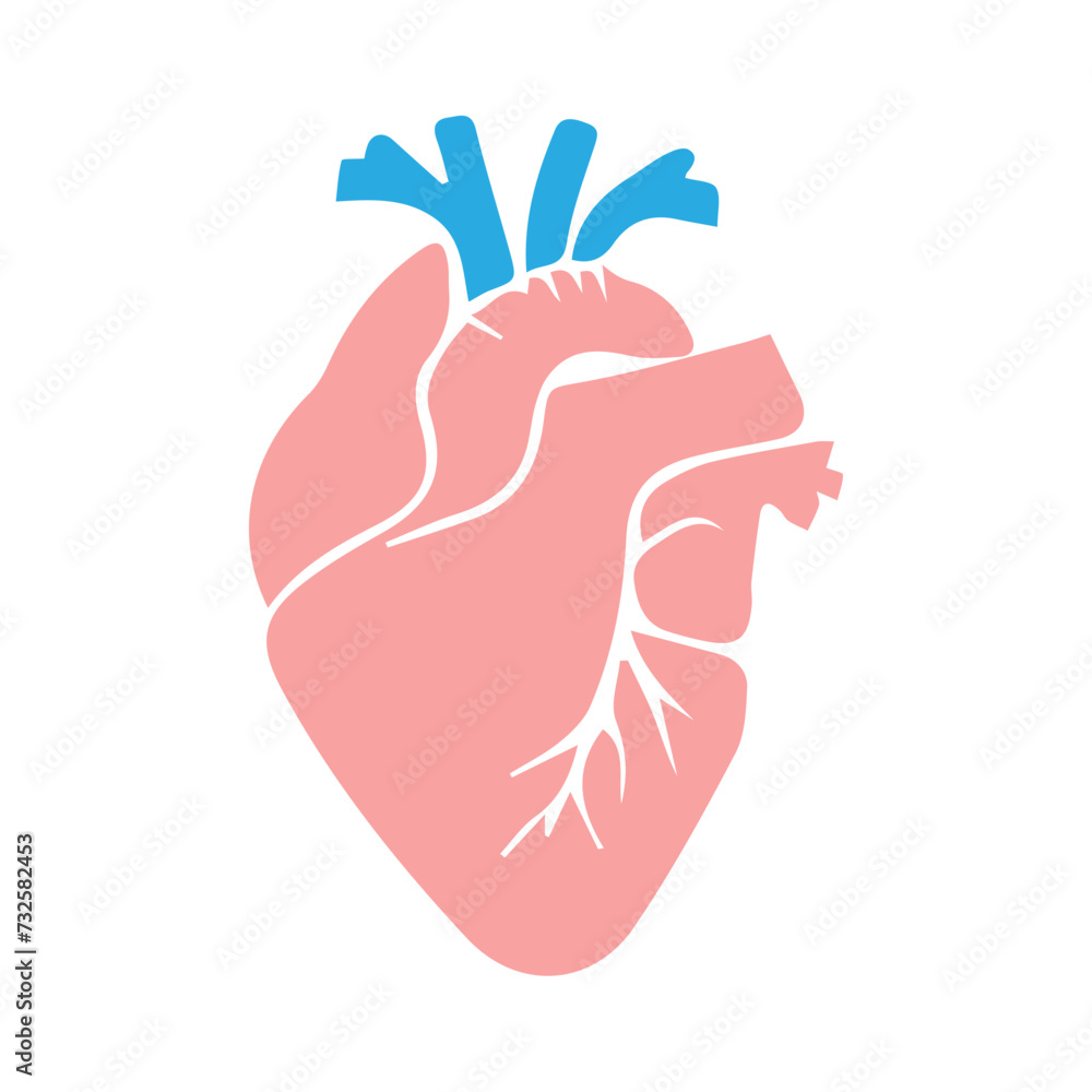 Obraz premium human heart organ