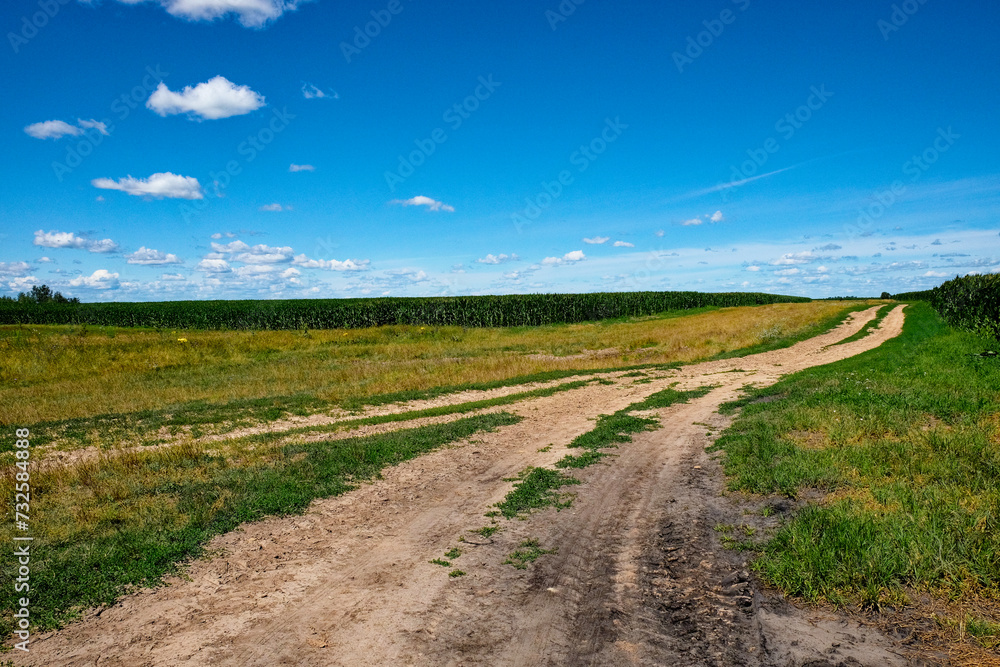 A clear day over a rural landscape with a dirt road cutting through fields, bordered by lush greenery and an expansive sky.