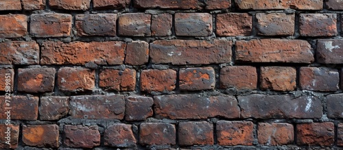 A detailed view of a brick wall showcasing numerous individual bricks, emphasizing the craftsmanship and visual beauty of brickwork.