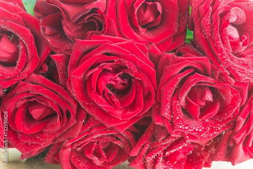 Close up for red rose flowers with waterdrops
