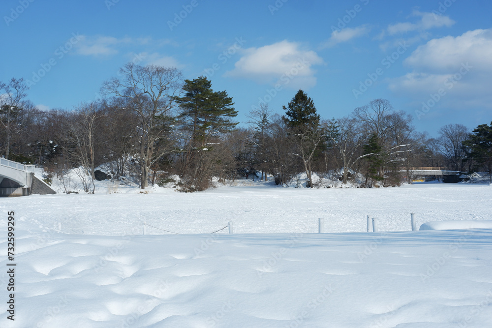 Garden and trees on a snowy day. Garden and trees on a snowy day.