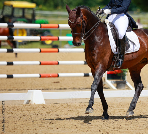 Dressage horse, horse dressage in tournament close-up with space for text. photo