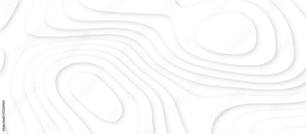 Abstract white background with paper cut out layers .Luxury paper cut background, Abstract decoration .Vector illustration. Material design. Paper cutting texture. Applicable for business banner. Abstract white background with paper cut out layers .Luxury paper cut background, Abstract decoration .Vector illustration. Material design. Paper cutting texture. Applicable for business banner.