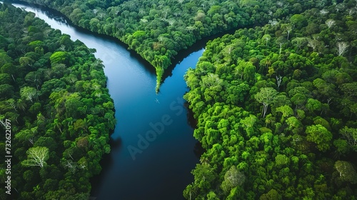 Aerial river winding through a rainforest, the lifeline of the ecosystem, bordered by dense greenery