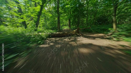 fpv drone flying low and fast on a forest path on a sunny day in the UK