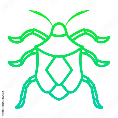 stink bug