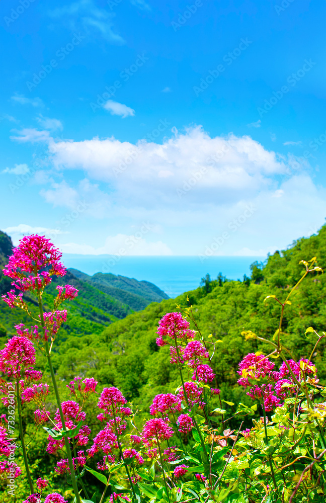 Amalfi Coast, Italy. View on the enchanting hills of the Lattari Mountains close to the Amalfi Coast. In the distance the sea between Maiori and Minori near Amalfi. Vertical image. Amalfi Coast, Italy. View on the enchanting hills of the Lattari Mountains close to the Amalfi Coast. In the distance the sea between Maiori and Minori near Amalfi. Vertical image.