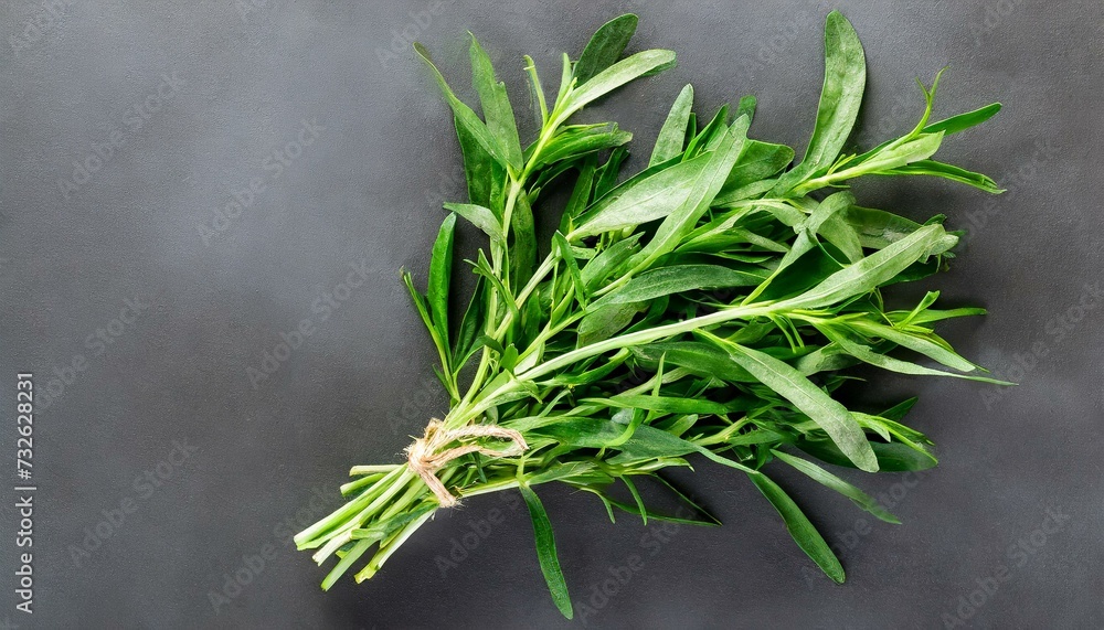 Bunch of tarragon plant Bunch of tarragon plant