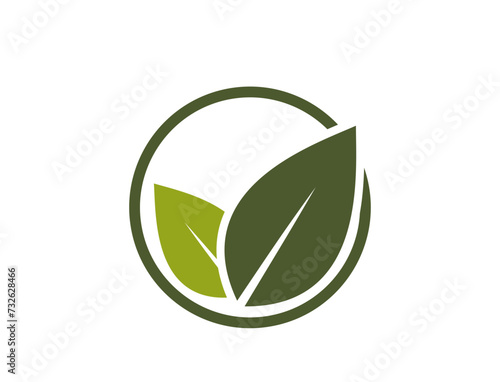 Eco icon. leaves in a circle. bio and organic symbol. vector image in flat design